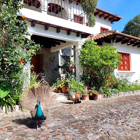 Hotel Y Jardines Casa Buho أنتيغوا غواتيمالا المظهر الخارجي الصورة