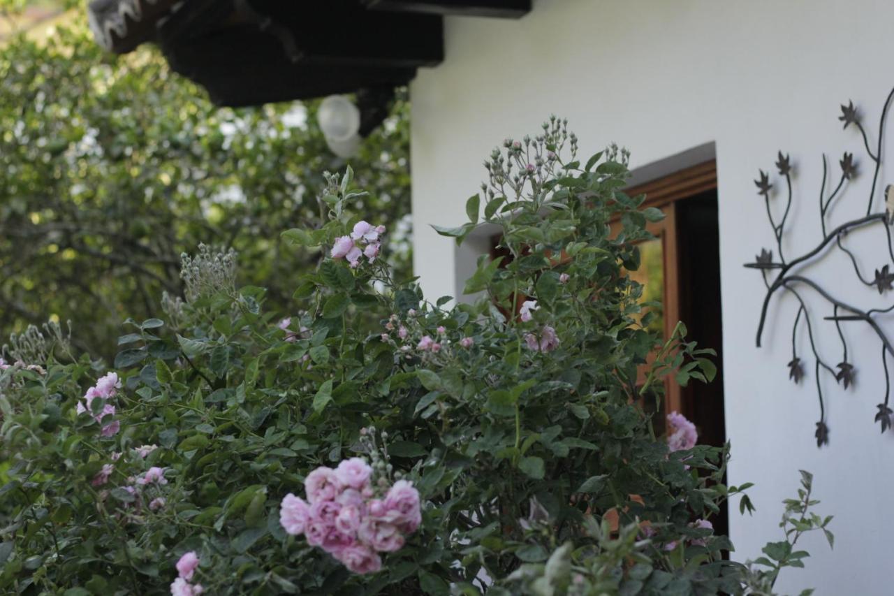 Hotel Y Jardines Casa Buho أنتيغوا غواتيمالا المظهر الخارجي الصورة