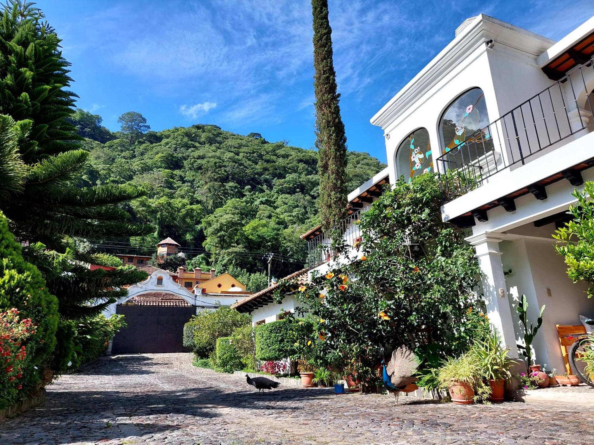 Hotel Y Jardines Casa Buho أنتيغوا غواتيمالا المظهر الخارجي الصورة